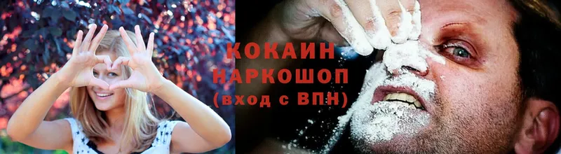 где можно купить наркотик  Миллерово  Cocaine 99% 