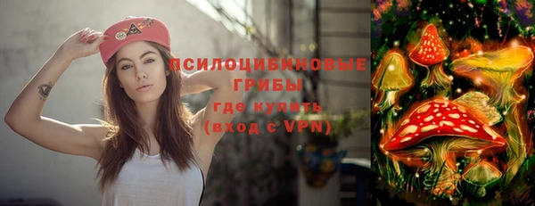 стаф Пересвет