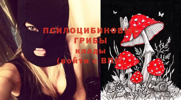 сатива Осинники
