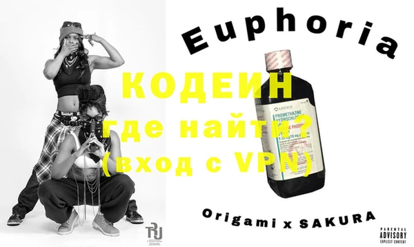 гидра Няндома