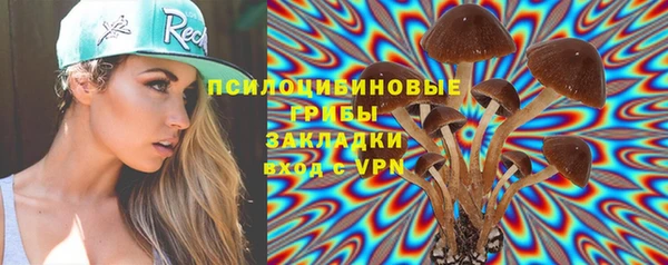 стаф Пересвет