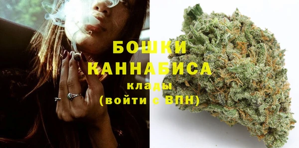 сатива Осинники