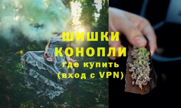 сатива Осинники