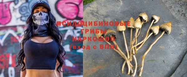 прущая мука Осташков