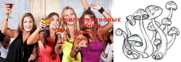 прущая мука Абаза