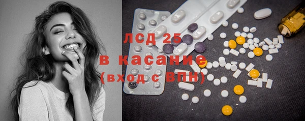 сатива Осинники