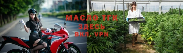 сатива Осинники