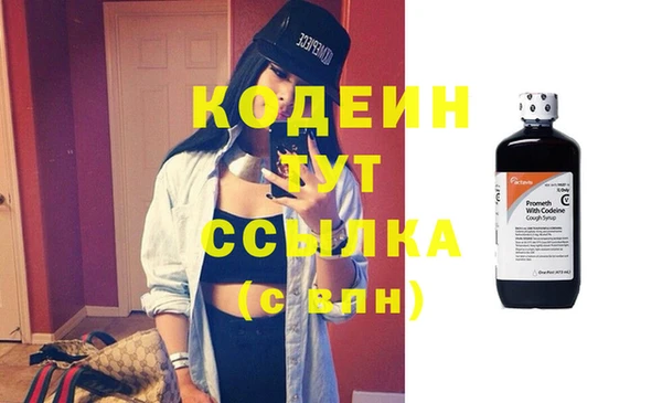сатива Осинники