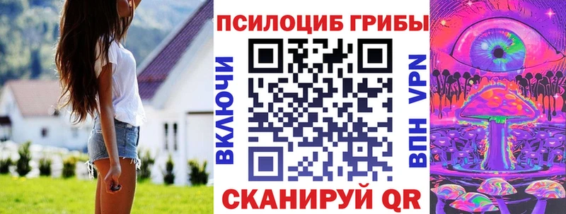наркотики Миллерово Галлюциногенные грибы Psilocybine cubensis