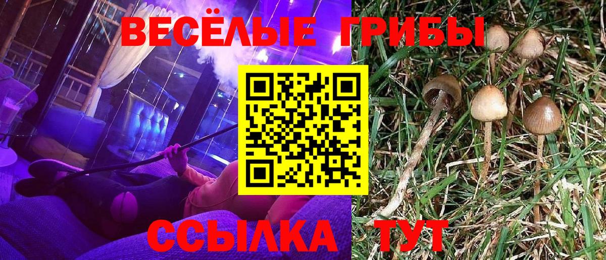 Псилоцибиновые грибы мицелий Миллерово
